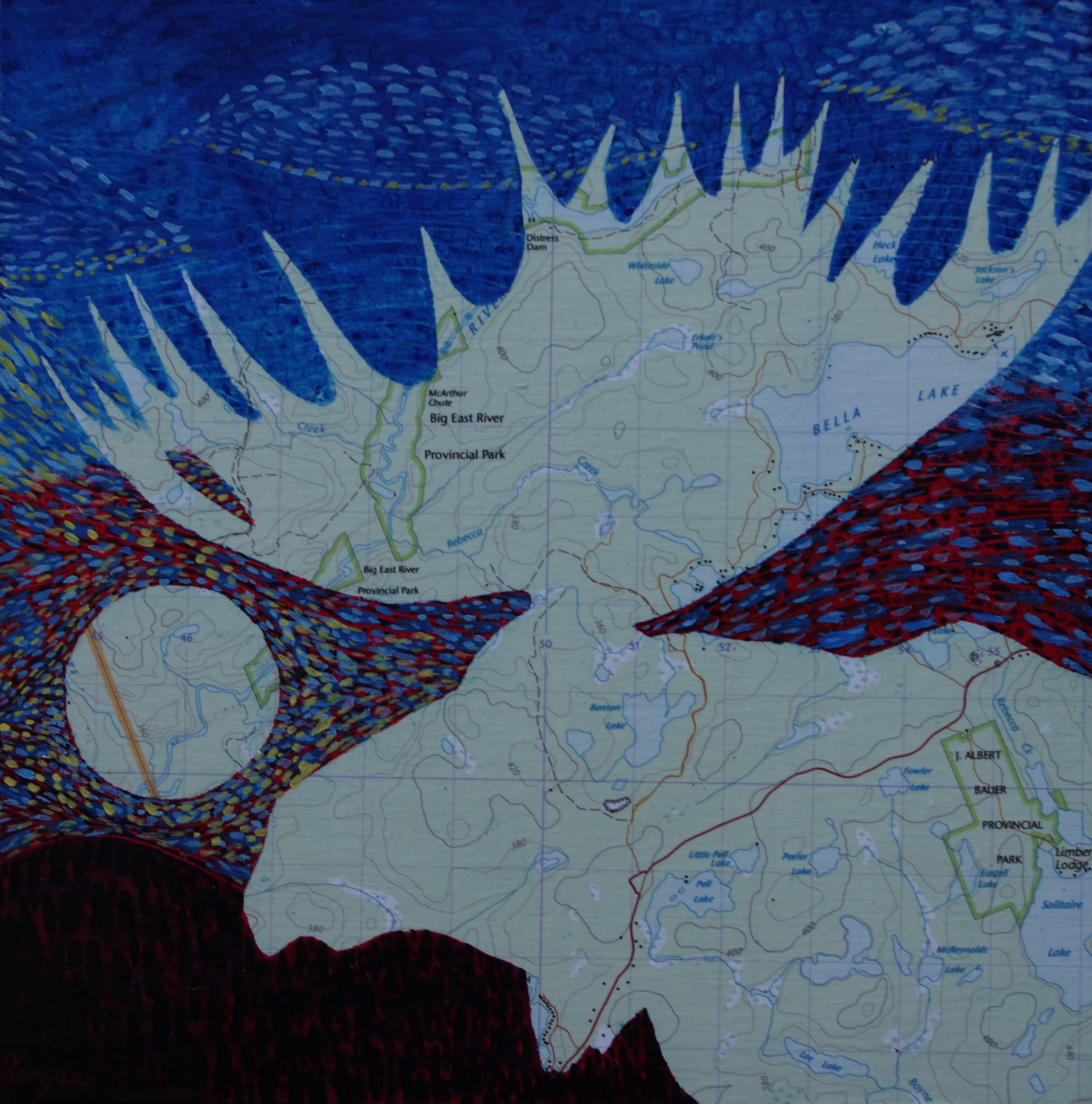 Gallery Image 9